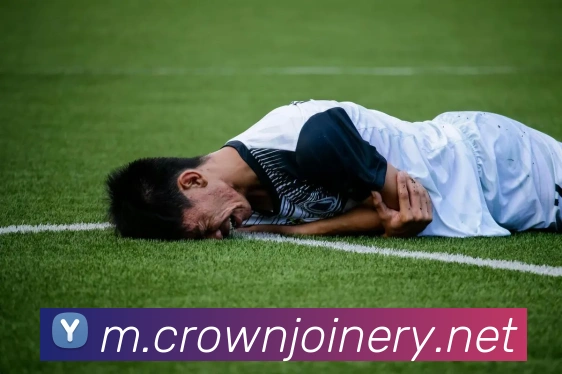 皇冠crown体育平台发展历程